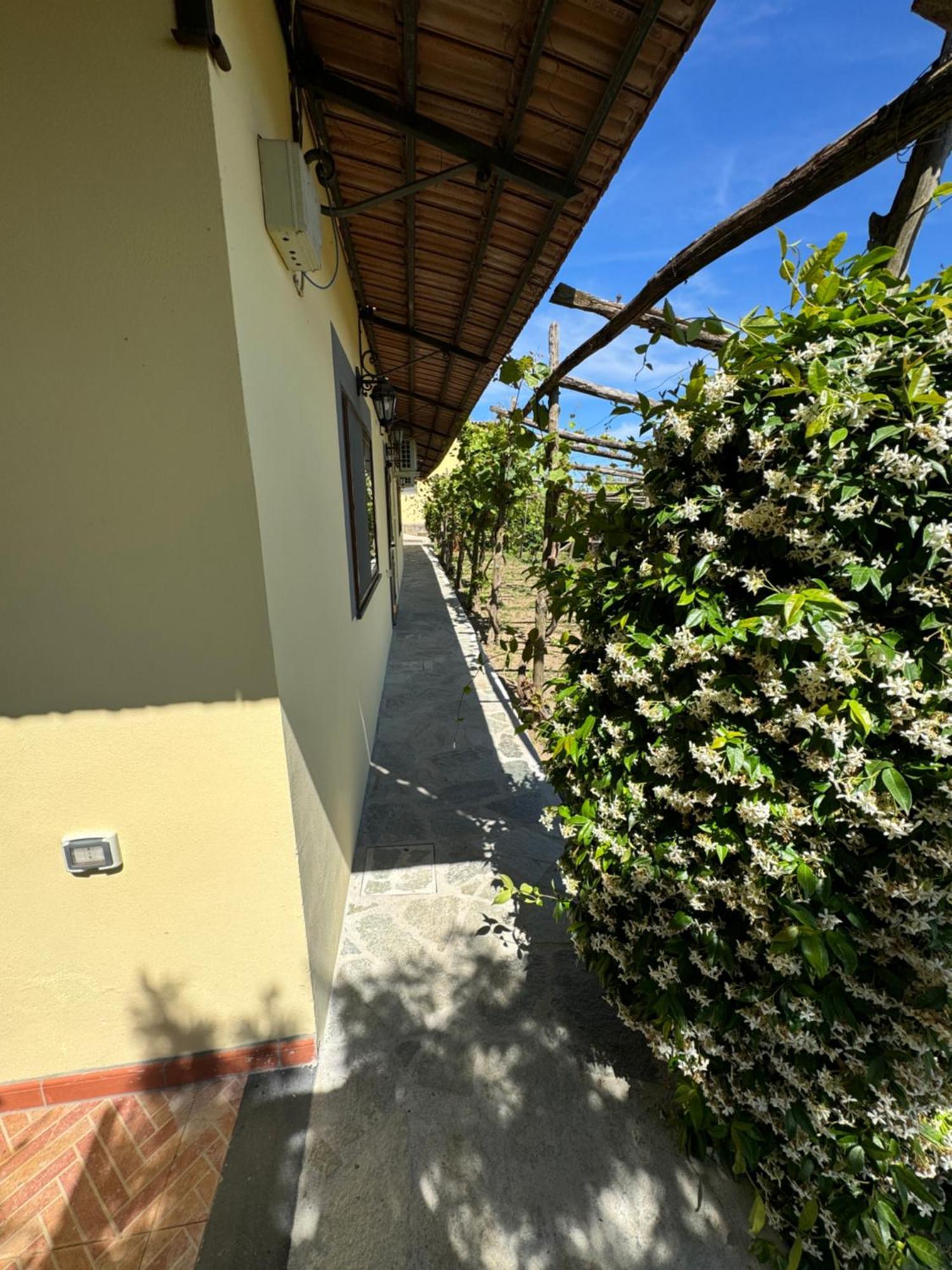 Agriturismo Piccolo Paradiso Пьяно-ди-Сорренто Экстерьер фото