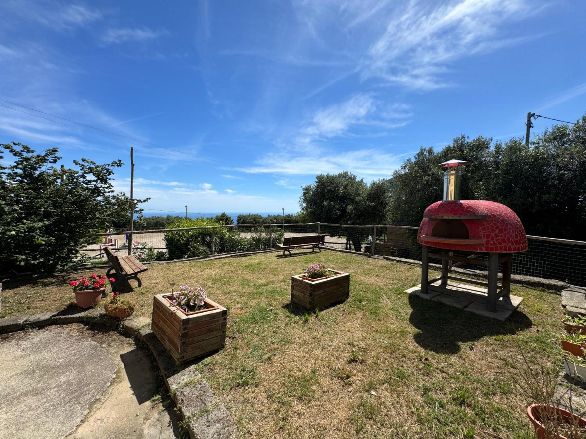 Agriturismo Piccolo Paradiso Пьяно-ди-Сорренто Экстерьер фото
