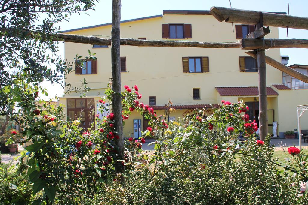 Agriturismo Piccolo Paradiso Пьяно-ди-Сорренто Экстерьер фото