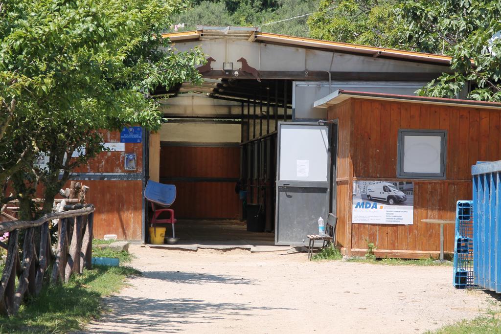 Agriturismo Piccolo Paradiso Пьяно-ди-Сорренто Экстерьер фото