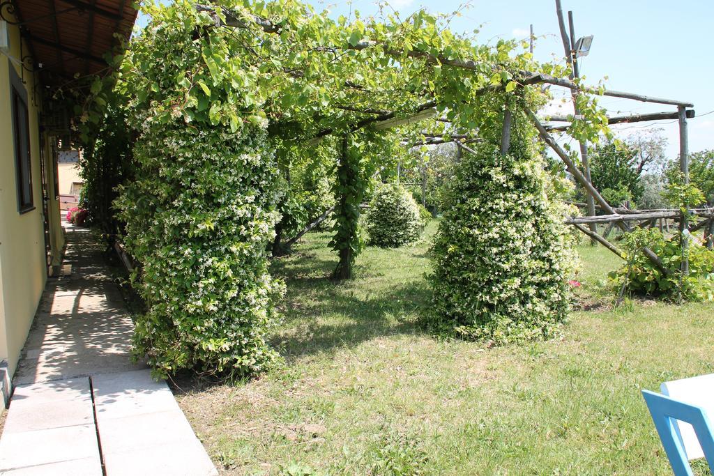 Agriturismo Piccolo Paradiso Пьяно-ди-Сорренто Экстерьер фото