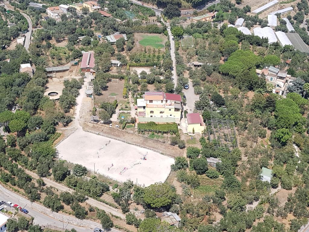 Agriturismo Piccolo Paradiso Пьяно-ди-Сорренто Экстерьер фото